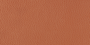 Surface 1